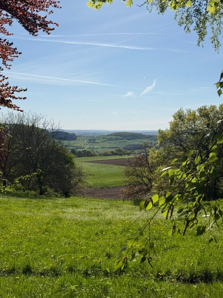 Schöner Ausblick
